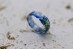 Forget-me-not ring